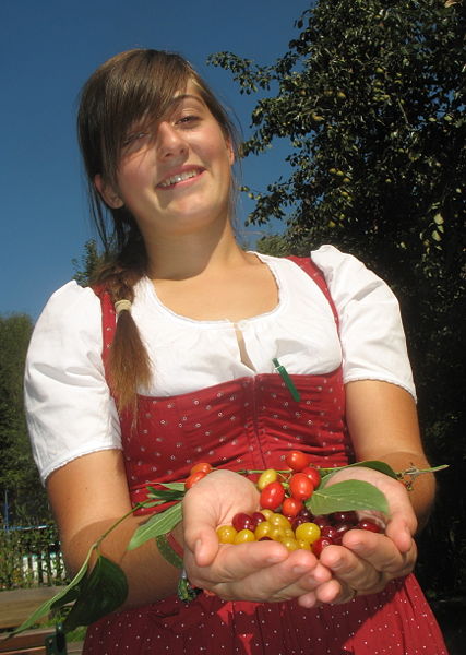 Datei:Johanna mit Dirndln.jpg