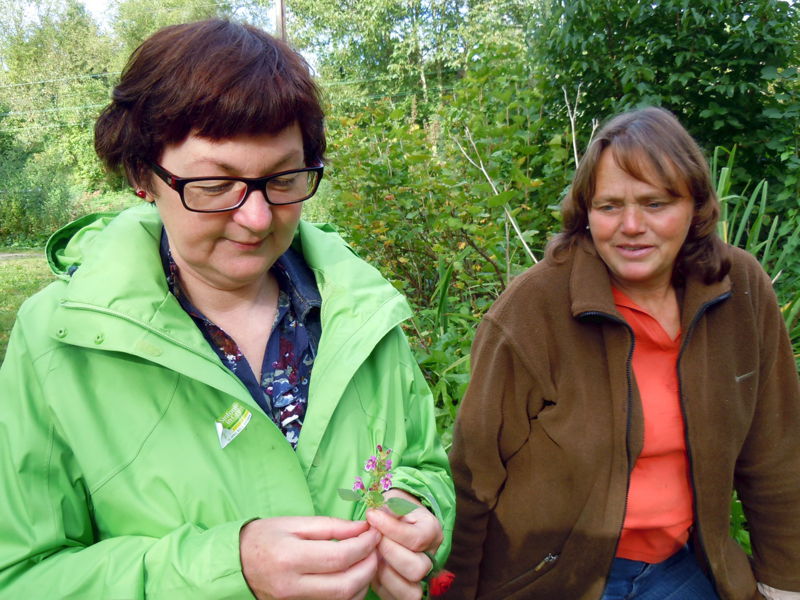 Datei:Wildkräuterführung Piri.jpg