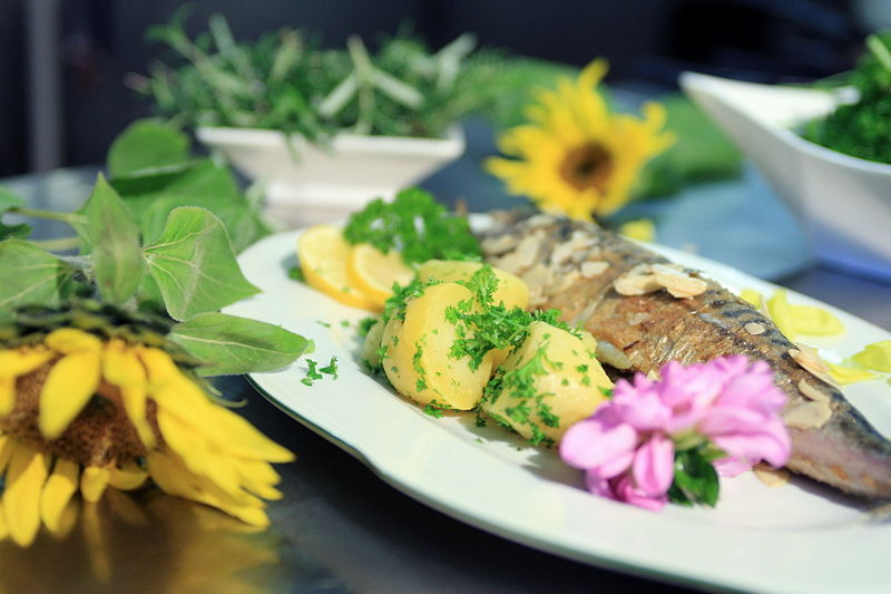 Datei:Fischteller.jpg