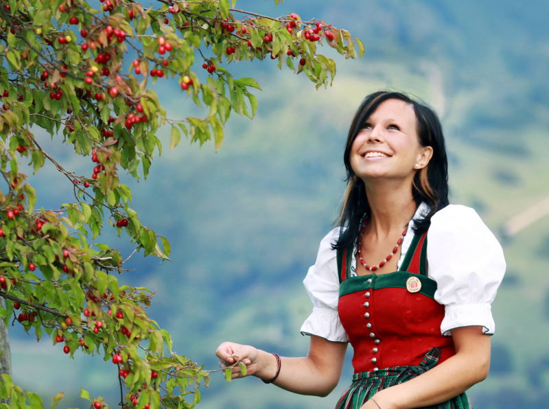 Datei:Dirndlstaude Dirndlprinzessin.jpg