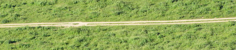 Datei:EST-Streifen Straße.jpg