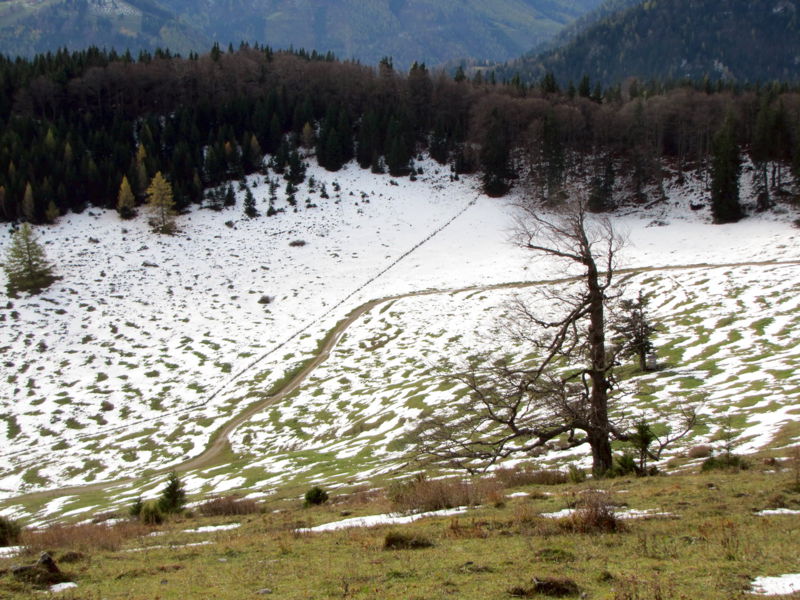 Datei:EST ALm erster Schnee.jpg