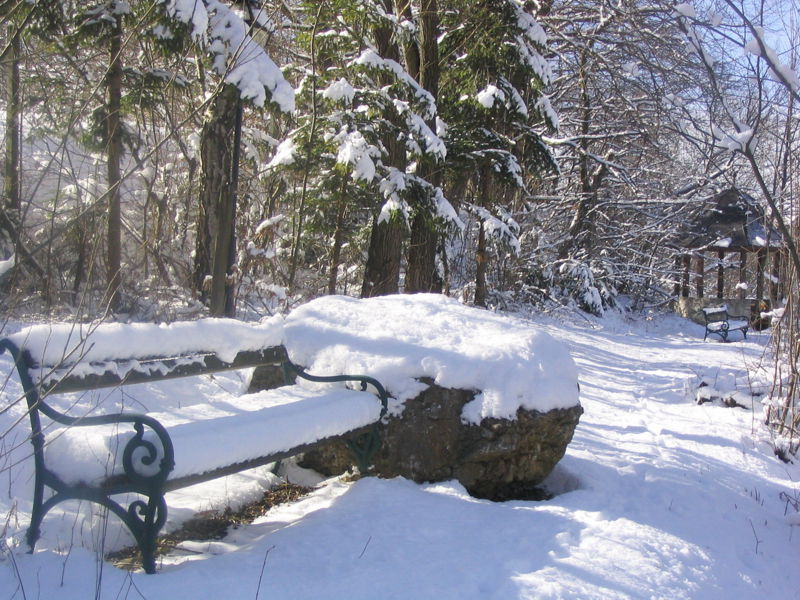 Datei:SG-Winter N-Garten Bank.jpg