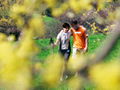 Pärchen Dirndlblüte.jpg