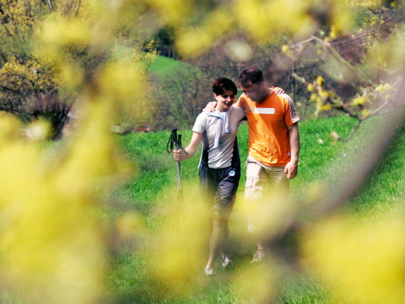 Datei:Pärchen Dirndlblüte.jpg
