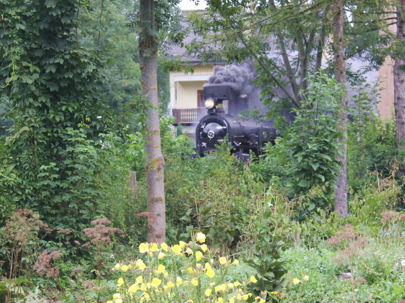 Datei:Zenzi melken - Festplatz.jpg