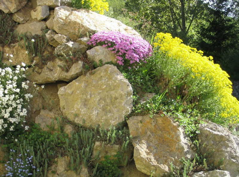 Datei:Begrünte Trockensteinmauern.jpg