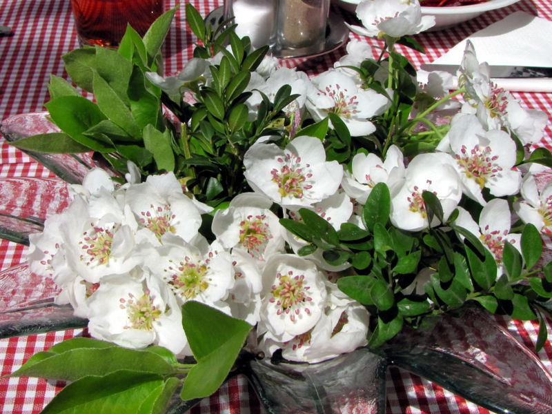 Datei:Sh Birnenblütendeko 8.jpg