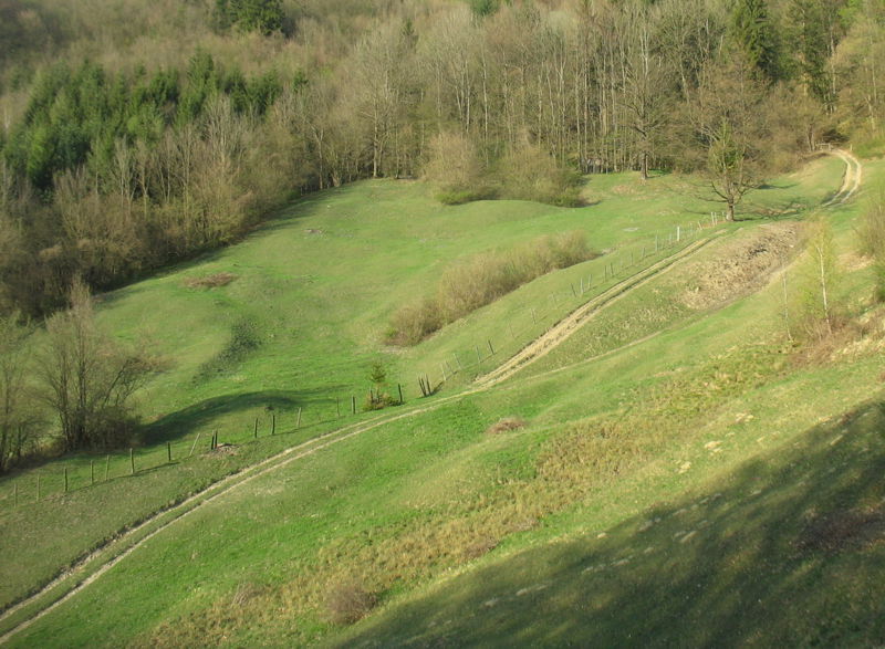 Datei:Gaisbühl Frühling Weg.jpg
