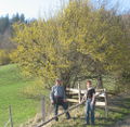 Dirndlblüte Gäste.jpg