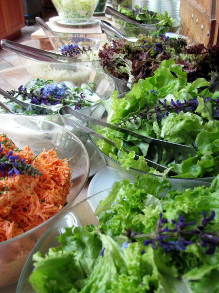 Datei:SH-Salatbuffet Mai2.jpg