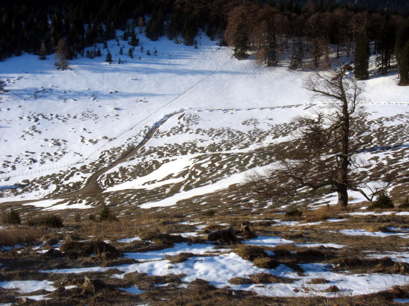Datei:EST Spätwinter Alm.jpg