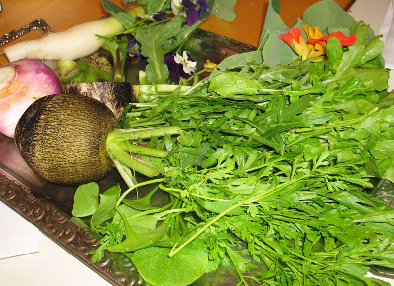 Datei:Frisches aus Garten.jpg