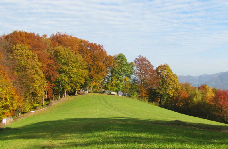 Datei:Herbst Reitbachwiese.jpg
