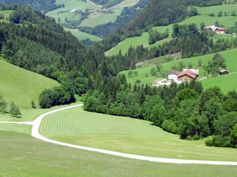 Datei:FF-Rettenbach 8.jpg