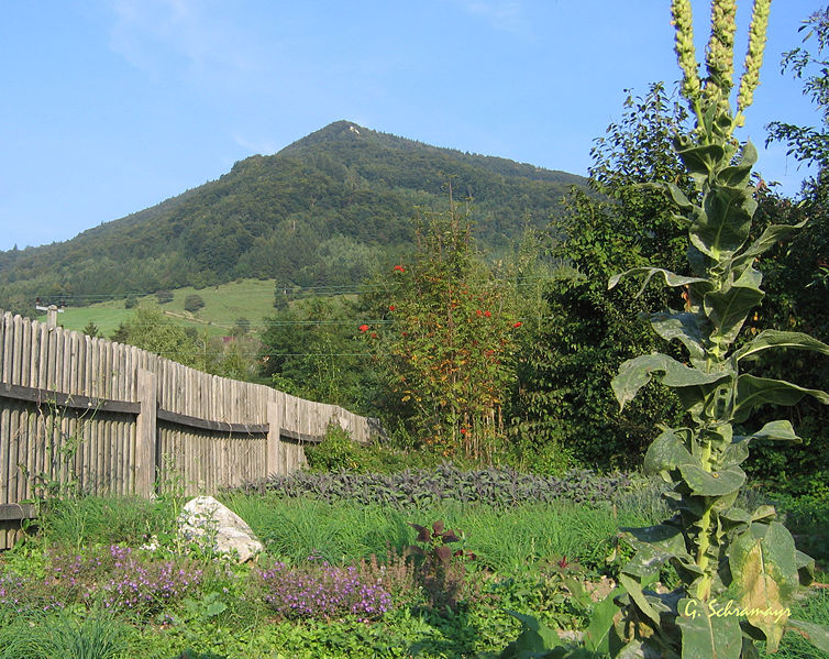 Datei:Geißbichl.jpg