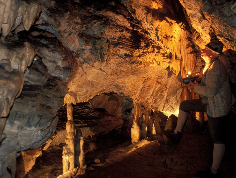 Datei:Tropfsteinhöhle Maerchenhalle.jpg