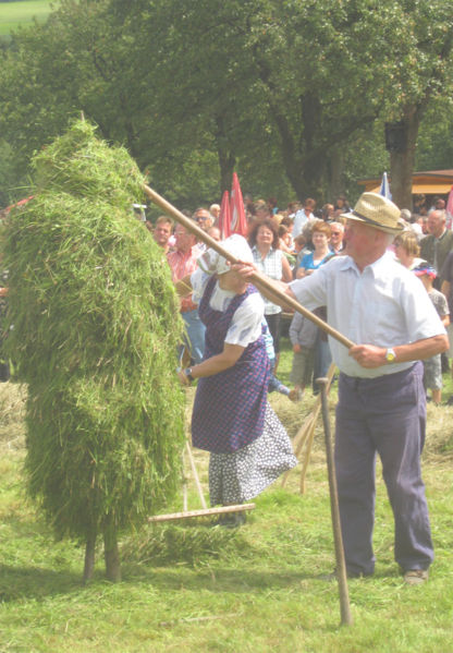 Datei:Heufest2009 Heuschober Spitze.jpg
