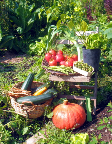 Datei:Steinschaler Gartenernte 2010.jpg