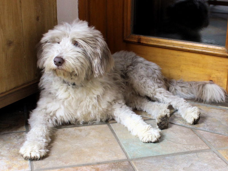 Datei:Paula Ecke.jpg