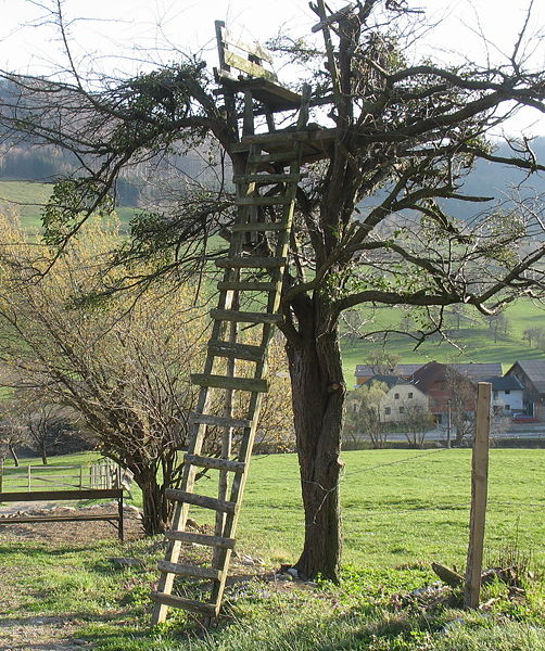 Datei:Hochstand Tradigist.jpg