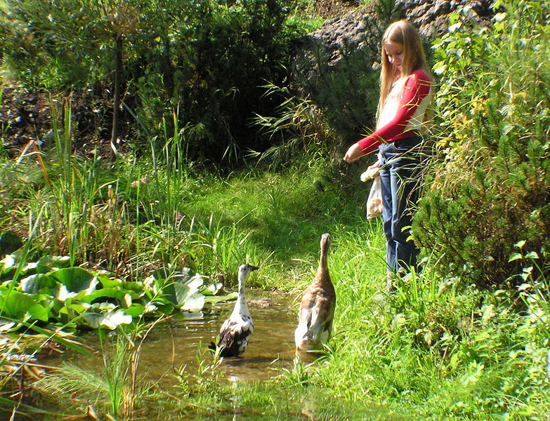 Datei:Mädchen mit Enten.jpg