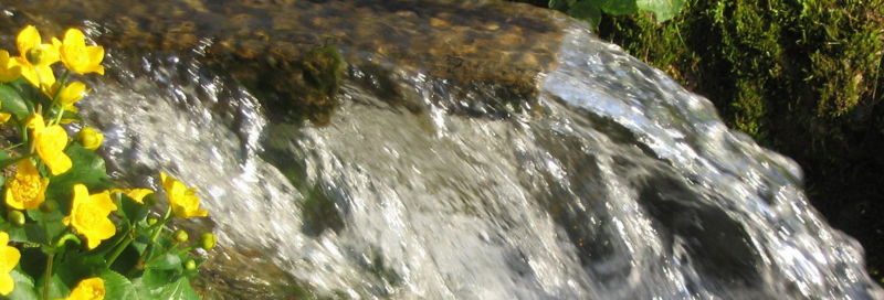 Datei:Frühlingsbächlein - Streifen.jpg