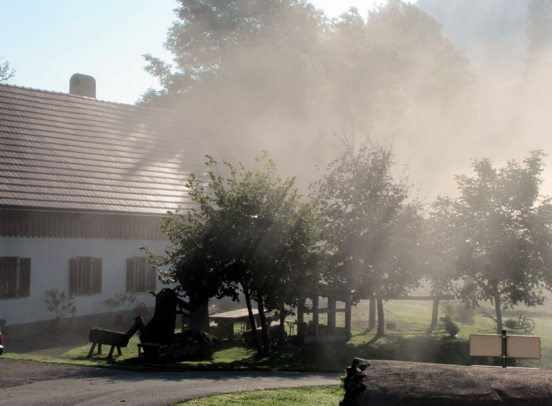 Datei:Nebel Laimboden1.jpg