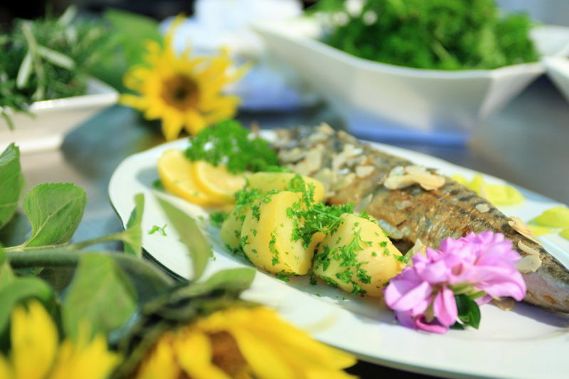Datei:SK Fisch WK WF.jpg