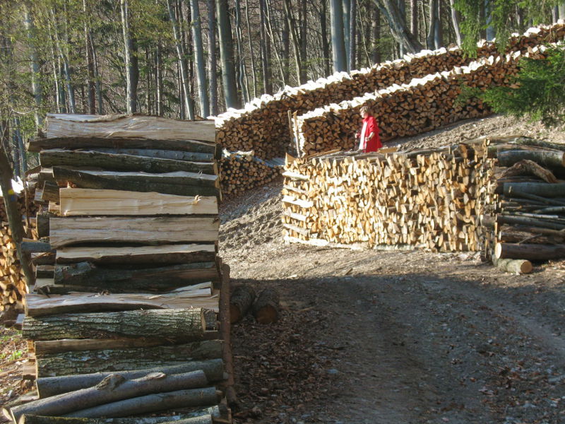 Datei:Holz-Energie der Region.jpg