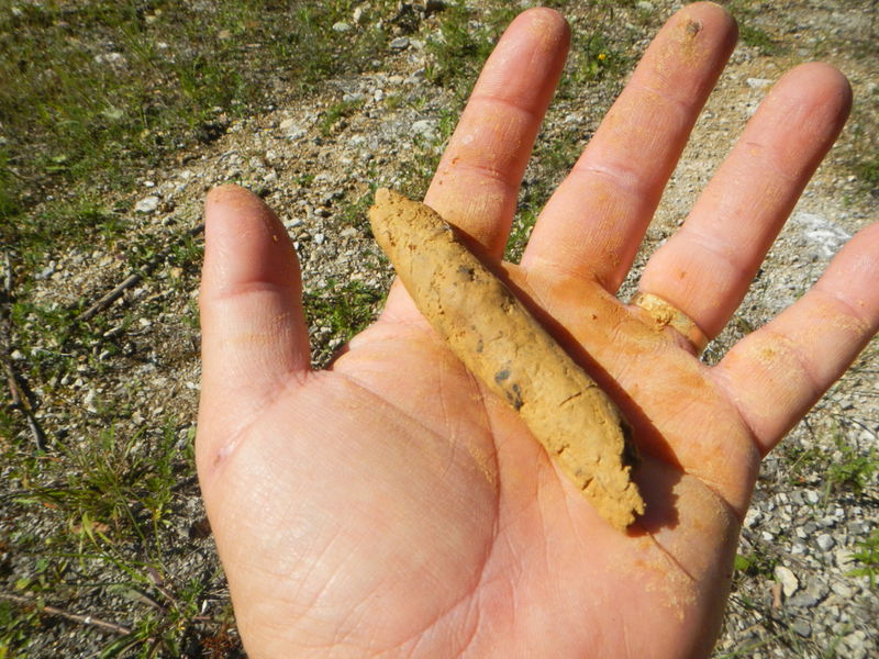 Datei:Braunlehm geknetet.jpg