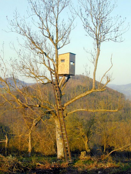 Datei:Luftiger Hochstand 2.jpg