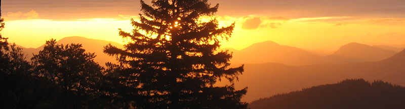 Datei:Sonnenaufgang Eisenstein Fichte Streifen.jpg