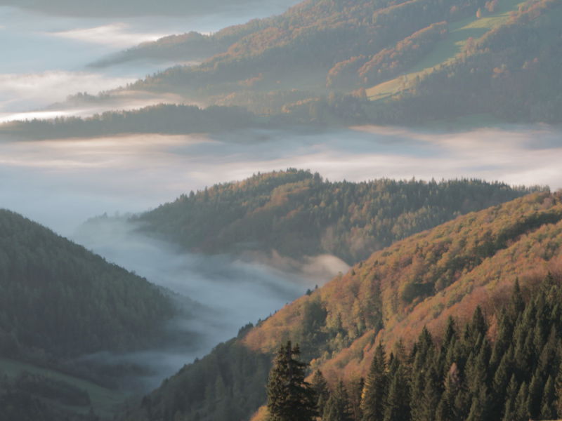 Datei:EST Morgenstimmung.jpg