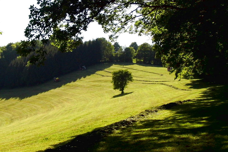 Datei:Lange Wiese Mai.jpg