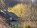 Frühling 2014.jpg